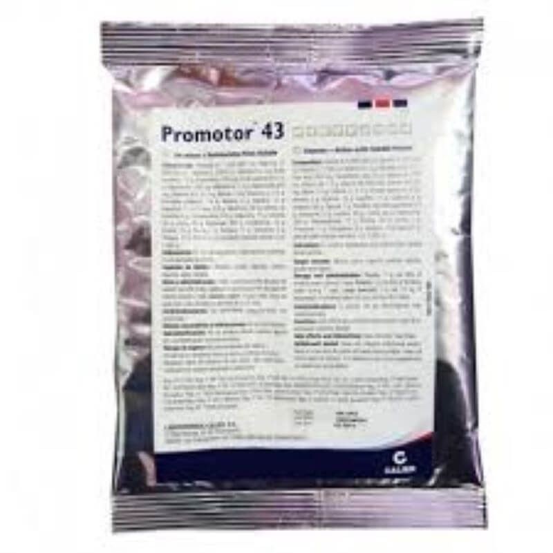 PROMOTOR 43 vitamins and amino acids powder over 100 gr Calier - 1