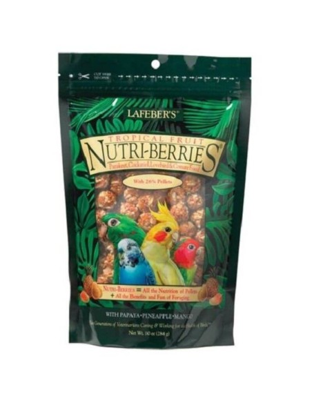 Alimento para aves NUTRI BERRIES FRUTAS TROPICAL indicado para ninfas y aves medianas 284 gr Harrison - 1