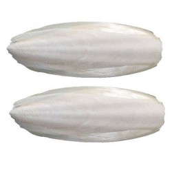JIBIA bone for birds, in bag of 500 gr. (large size) Jarad - 2