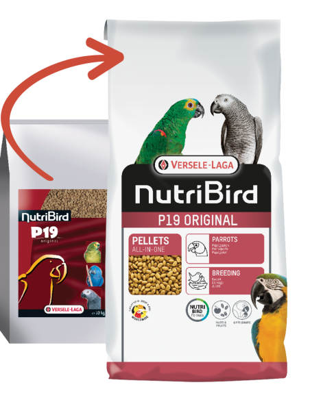 Parrot food NUTRIBIRD P19 ORIGINAL VERSELE LAGA 10 kg