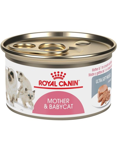 mousse para gatitos ROYAL CANIN MOTHER&BABYCAT caja de 12 x 195 gr