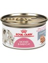 mousse pour chatons ROYAL CANIN MOTHER & BABYCAT boîte de 12 x 195 gr