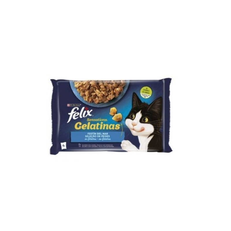 Félix chat: le goût et la qualité des produits pour les chats
