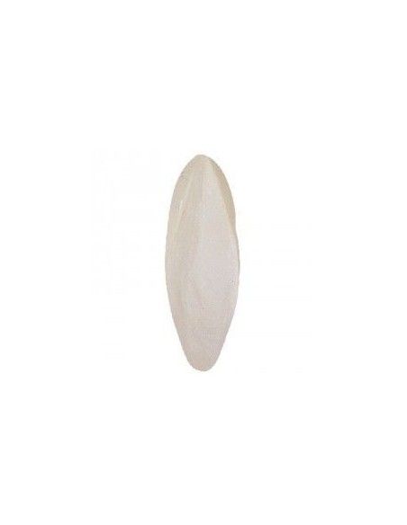hueso de JIBIA para aves, en bolsa de 500 gr. Tamaño medio 15-20 cm