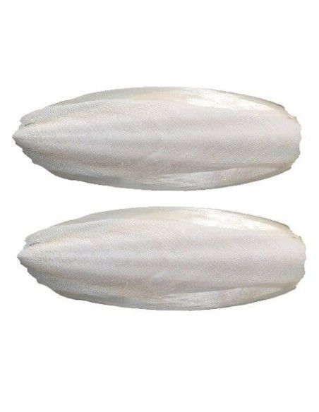 hueso de JIBIA para aves, en bolsa de 500 gr. Tamaño medio 15-20 cm