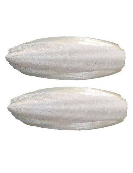 JIBIA bone for birds, in bag of 500 gr. (large size) Jarad - 2