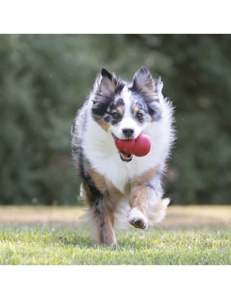 Buy red dog toy KONG Classic size S