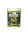 Brocoli déshydraté pour oiseaux QUIKO 100 gr