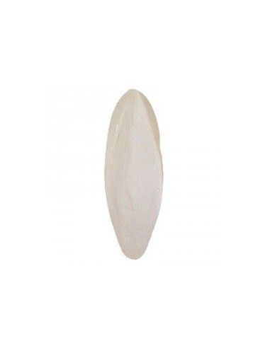 CUTTLEFISH 15-20 cm 500gs. bag CUTTLEFISH 15-20 cm 500gs. bag