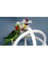 HARI BIRD ENRICHMENT TOYS