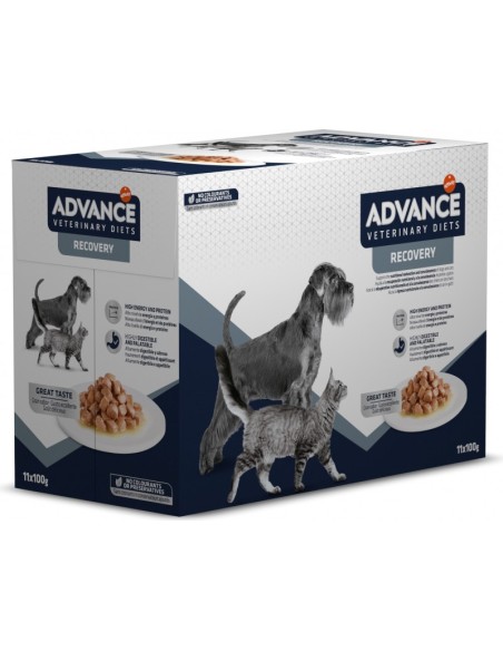 ADVANCE RECOVERY ABOUT FOR DOGS AND CATS