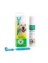 Kit dentaire pour chiens avec pâte enzymatique Stangest