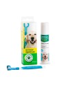 Kit Dental para perros con pasta enzimática Stangest