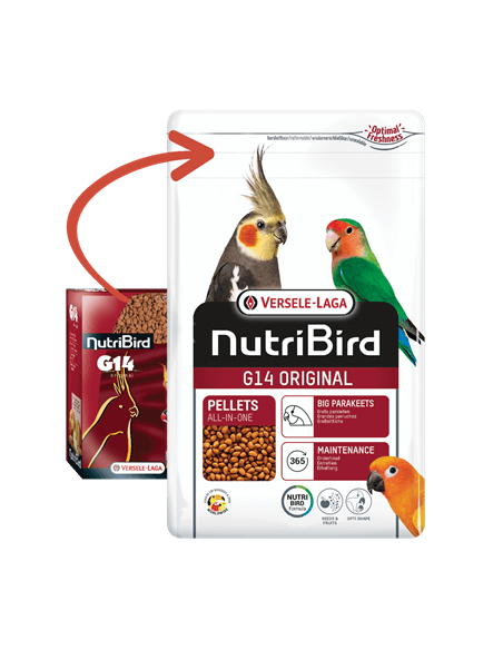 Je pense que pour les grandes perruches NUTRIBIRD G18 ORIGINAL VERSELE LAGA 10 kg