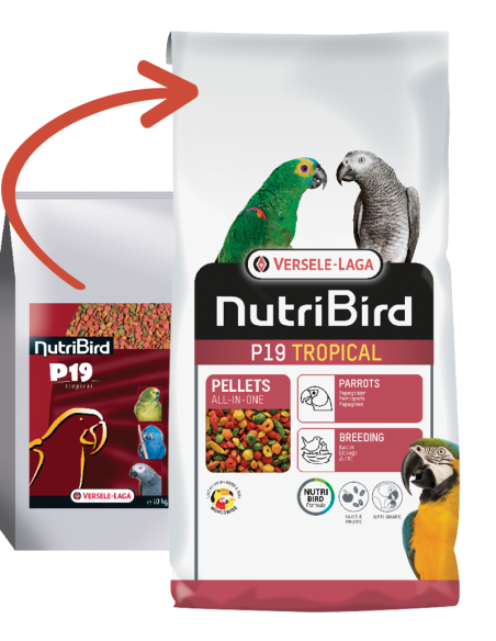 Aliment reproducteur tropical NUTRIBIRD P19 VERSELE LAGA 10 kg.