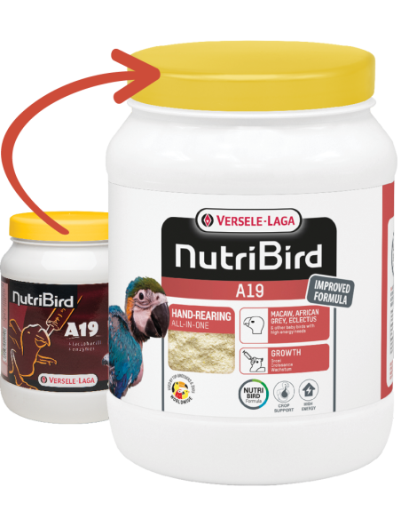 Nutribird A19 Versele Laga: papilla equilibrada de loros