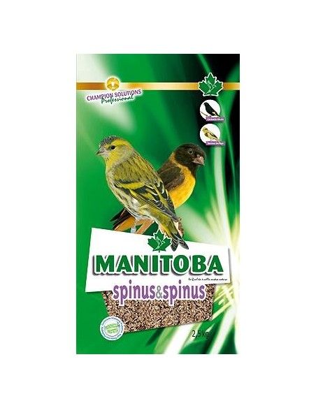 SPINUS ET SPINUS DU MANITOBA