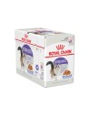 Pack 12x85 gr of Royal Canin Sterilised Jelly