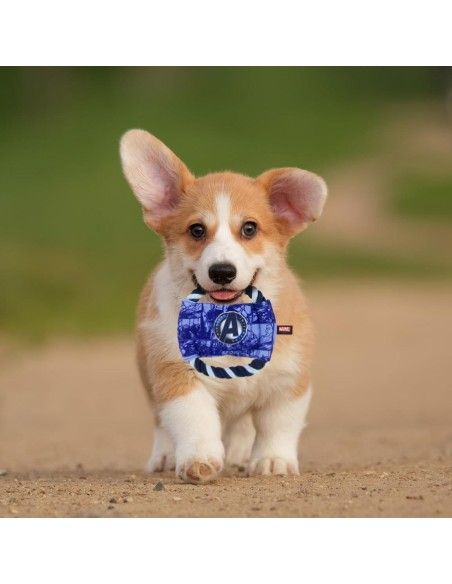 Cuerda dental para perro AVENGERS