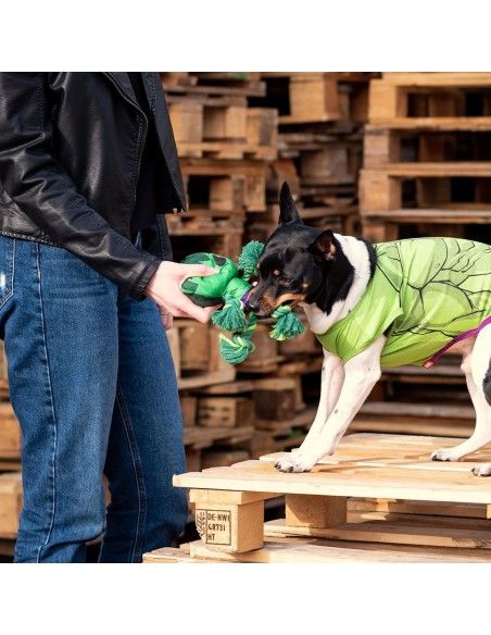 Cordon dentaire pour chien Avengers Hulk