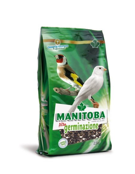 Mixtura Alta Germinacion MANITOBA 2.5 kg