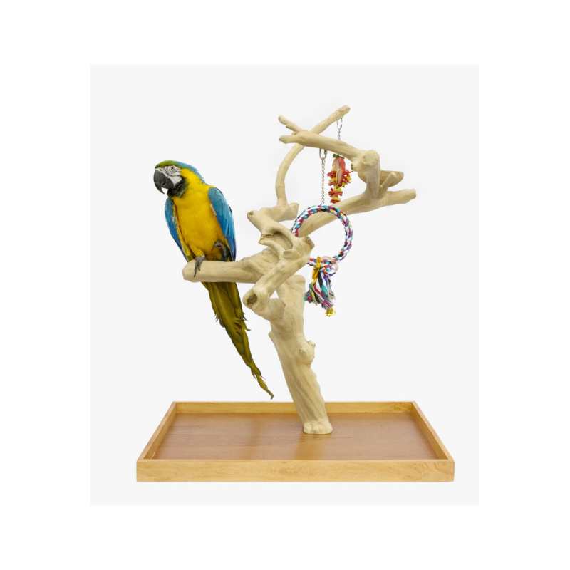 Arbol de Java para Loros JAVA MINI TREE Large New