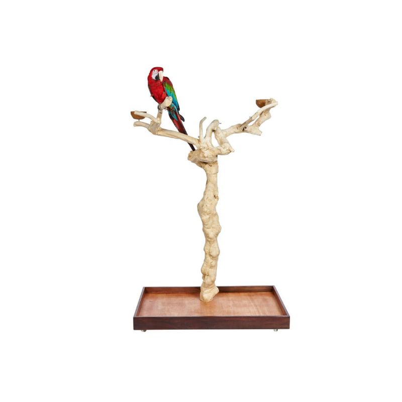 Arbol de java para loros JAVA TREE BM