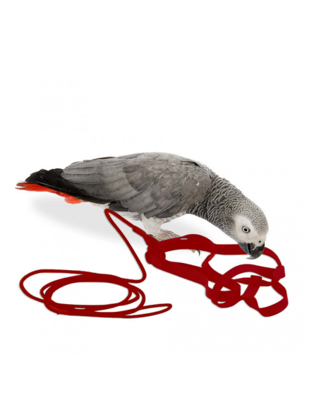 Arnes para aves THE AVIATOR rojo talla MEDIUM 425-600 grams