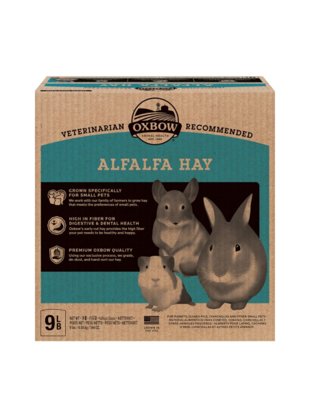 Heno de Alfalfa Premium - Alimentación Natural para Roedores