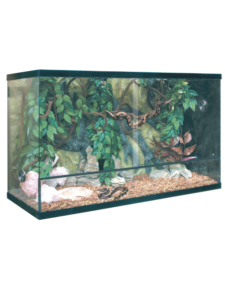 Terrario Repti Selva Cristal 240L: Entorno Natural y Seguro para Reptiles - CPA