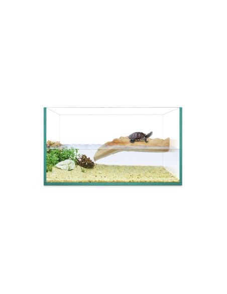 Tortuguera Isla de Repti Selva 60 cm: Entorno Natural y Seguro para Tortugas - CPA