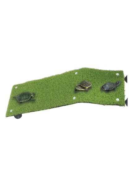 Rampa para Tortugueras 32 cm: Acceso Seguro y Fácil para tus Tortugas - CPA