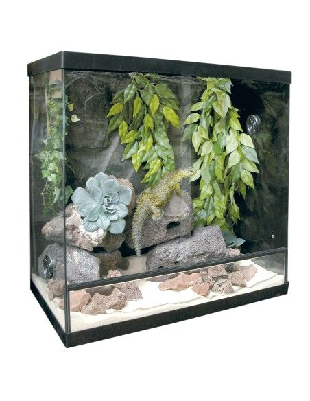 KIT para Terrario Repti Selva Cristal 75 L: Entorno Ideal y Completo para Reptiles - CPA