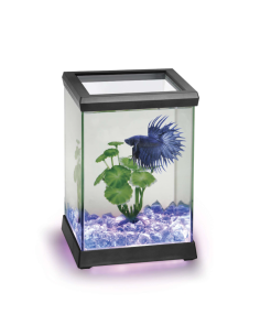 Betta Space LED 4.95 L: Acuario con Iluminación LED para Peces Betta - CPA