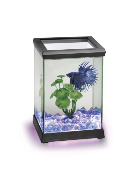 Betta Space LED 4.95 L: Acuario con Iluminación LED para Peces Betta - CPA