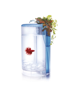 Kit Betta Flora LED 2 L azul: Acuario Completo con Iluminación LED para Peces Betta - CPA