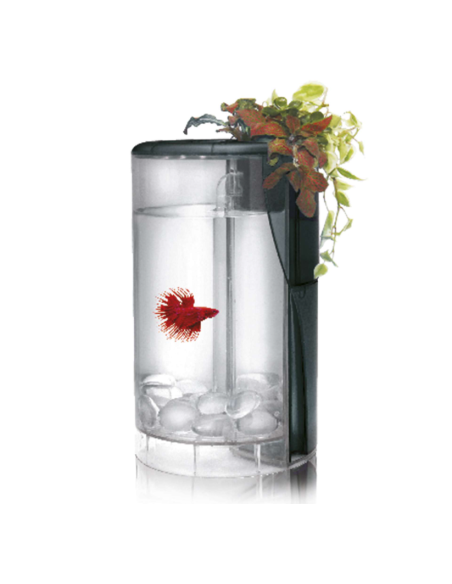 Kit Betta Flora LED 2 L negra: Acuario Completo con Iluminación LED para Peces Betta - CPA