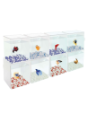 Betaworld Cube Iniciación 1.5 L: Kit Completo para Principiantes con Peces Betta - CPA