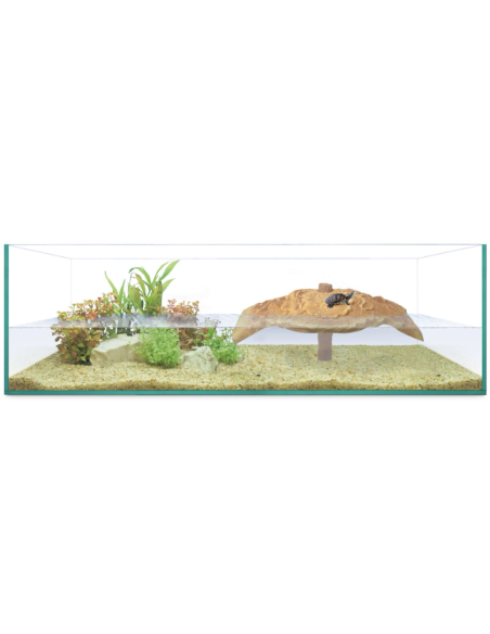 Kit Tortuguera Isla de Repti Selva 80cm: Completo y Natural para Tortugas - CPA