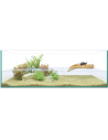 Kit Tortuguera Isla de Repti Selva 60cm: Completo y Natural para Tortugas - CPA