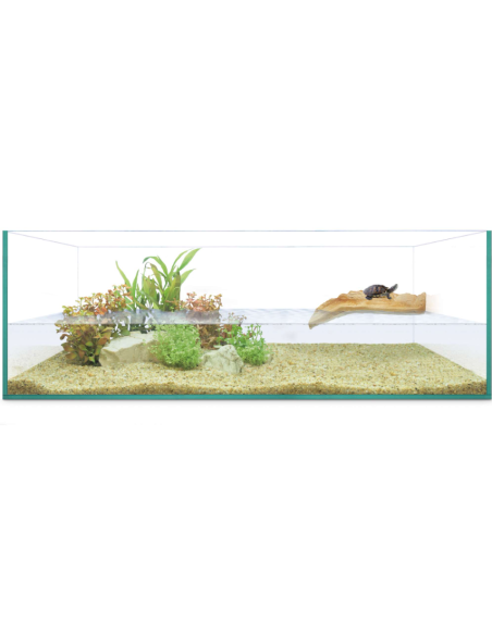 Kit Tortuguera Isla de Repti Selva 60cm: Completo y Natural para Tortugas - CPA