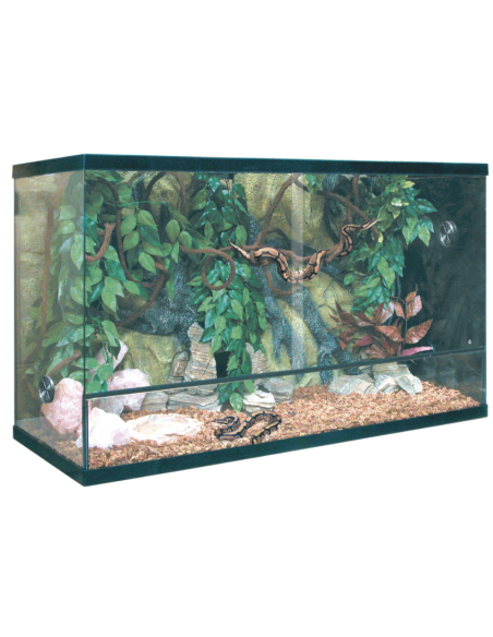 KIT para Terrario Repti Selva Cristal 180 L: Entorno Ideal y Completo para Reptiles - CPA