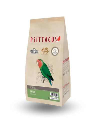 Psittacus, je pense, mineur 0,450 gr