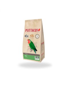 Psittacus micro de 3 kg para agapornis y loros pequeños