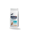 Advance Medium Puppy 12 kg: alimentation pour chiens