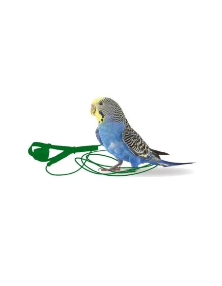 Arnes para aves THE AVIATOR verde talla MINI menos de 75g