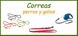 correas-perros-y-gatos