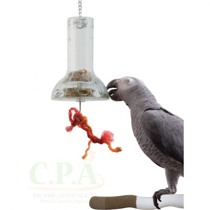juguetes para loros