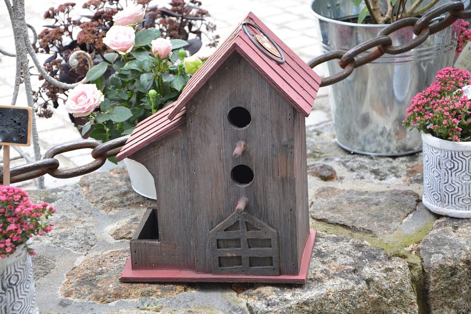 Cómo hacer un refugio para aves 