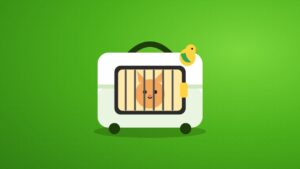 Transportín para perros, gatos y aves